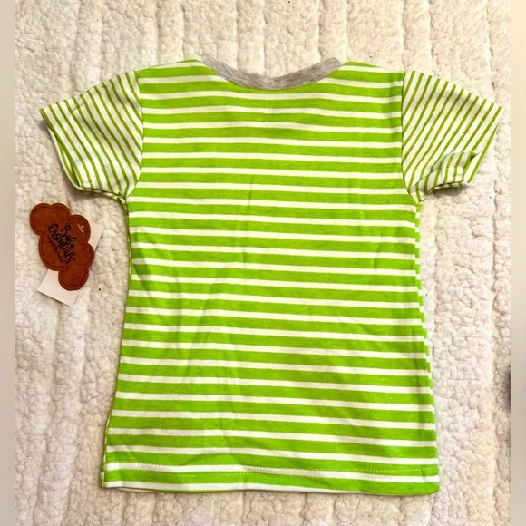 Baby Essentials!🐰Easter Outfit!🐣Matching Set/dinosaur/Bunny/Carrot/24 M-Boy - Picture 4 of 10